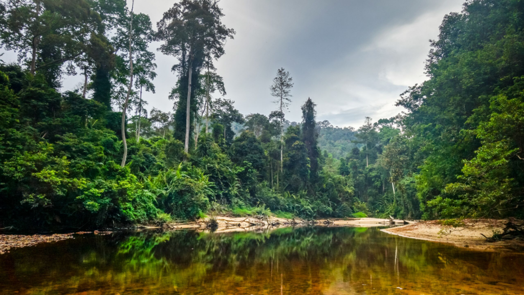 taman negara tour kuala lumpur