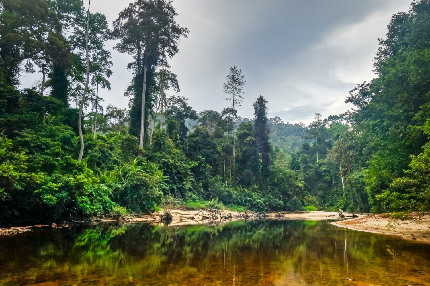 taman negara wildlife tour