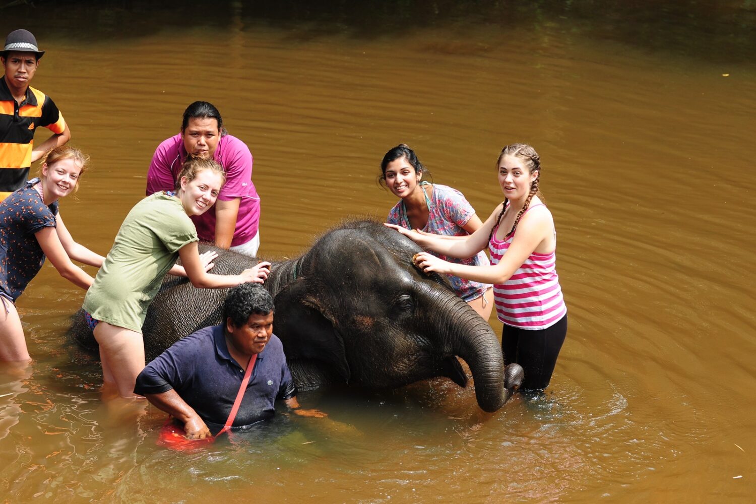 elephant tour malaysia