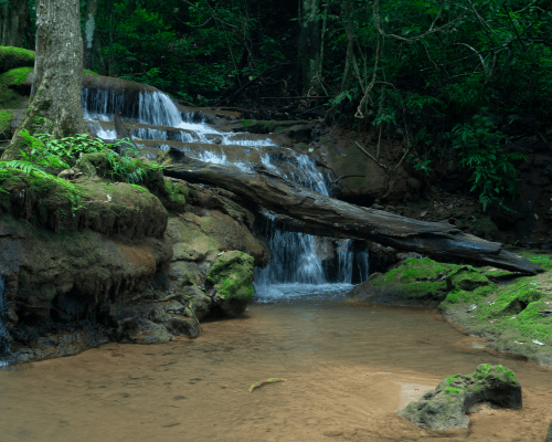 kuala lumpur layover tour